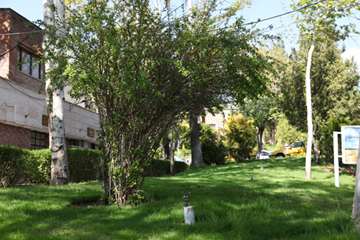 بهار دانشگاه 1399